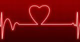 Lovebeats Lovebeats