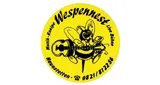 Wespennest Wespennest