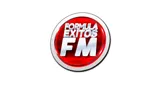 Fórmula éxitos Fórmula éxitos