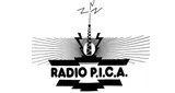 Radio Pica Radio Pica