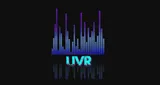 Urban Vybez Radio Urban Vybez Radio