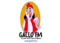 Gallo FM Gallo FM