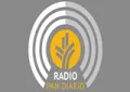 Radio Pan Diario