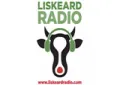 Liskeard Radio