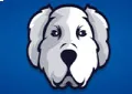 Mdog Radio