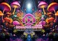 Psychedelic Secrets Radio